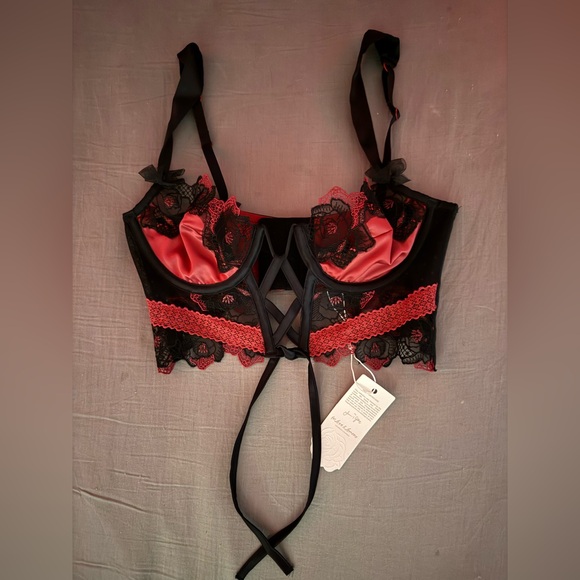 For Love And Lemons Other - Elegant Lace Trim Pink and Black Bustier - For Love & Lemons Ivy Bra - SMALL